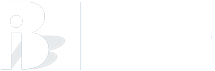 BI Consulting